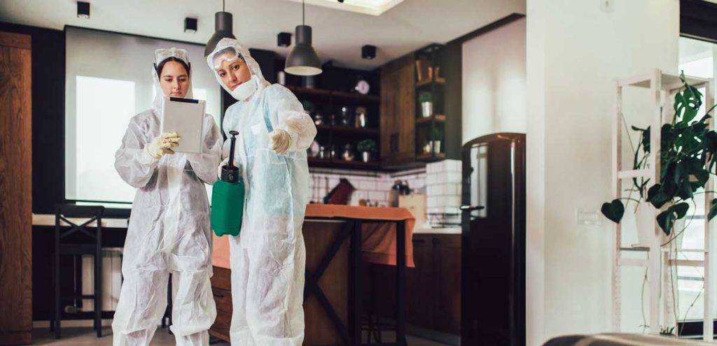 Understanding Insect Extermination
