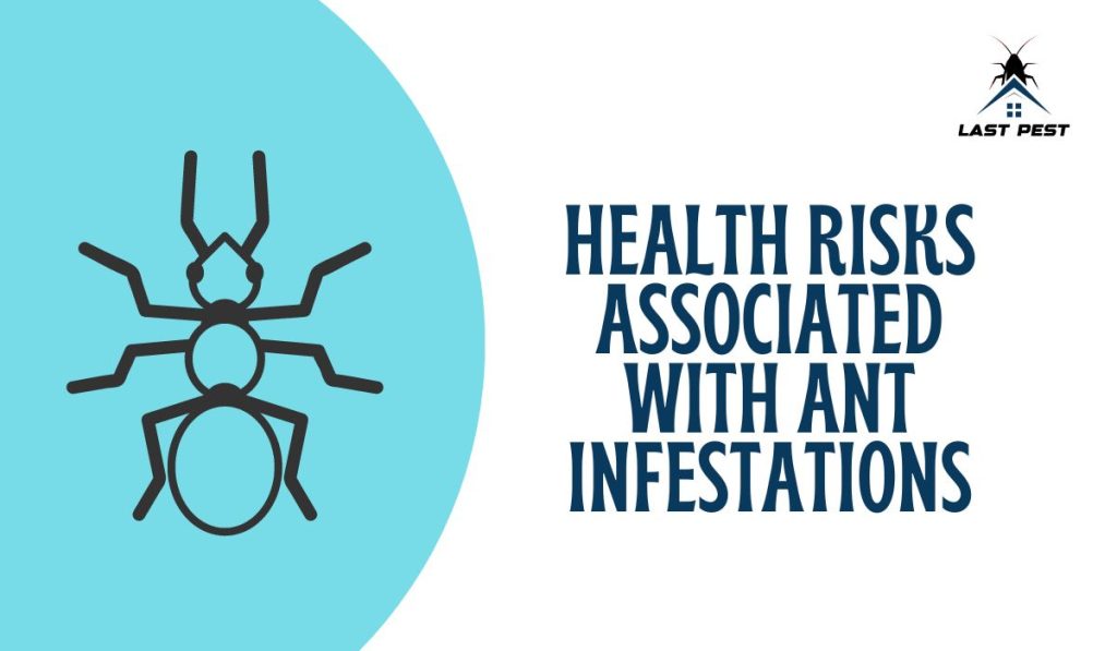 Health Risks Associated with Ant Infestations