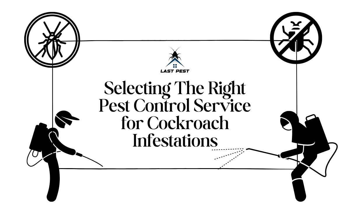 Photo inspiration: Gallery Detail: Selecting The Right Pest Control Service For Cockroach Infestations