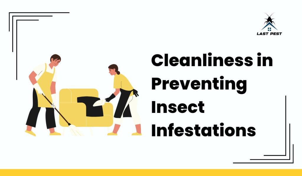 The Underlying Role of Cleanliness in Preventing Insect Infestations