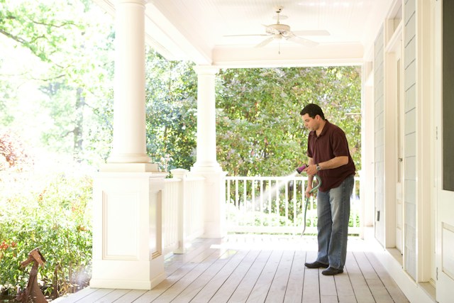 Professional Pest Control for Seasonal Issues
