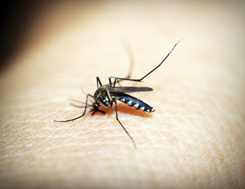 Safe and Humane Wildlife Pest Control Methods